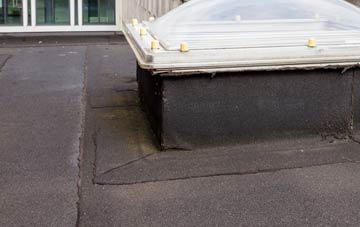 disadvantages of Llanwinio flat roofs